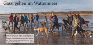 Abseits der abgetretenen Spazierwege waren die Hundebesitzer mit ihren Tieren unterwegs. Der Spaziergang durch den Schlick des Wattenmeeres war eine Aktion der Wenningstedter Hundstage.