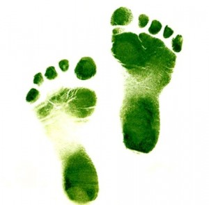 greenfootprints1