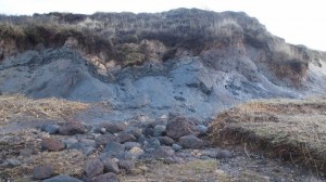 Weil die Vegetation fortgespült wurde, ist der schwarze Glimmerton gut zu erkennen.