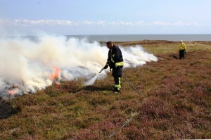 Damit das Feuer kontrolliert brennt, war die Feuerwehr anwesend.