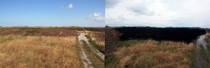 links: vor dem Brennen und rechts: nach dem Brennen