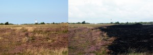 links: vor dem Brennen und rechts: nach dem Brennen